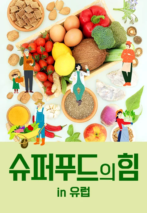 이미지가 없습니다.