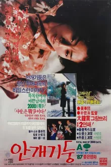 이미지가 없습니다.