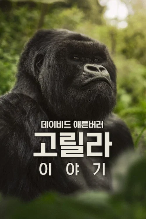 이미지가 없습니다.