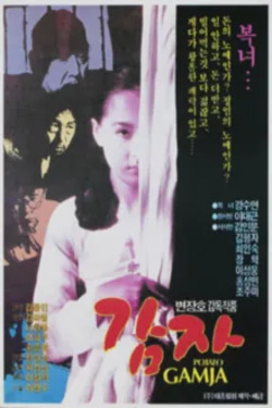 이미지가 없습니다.
