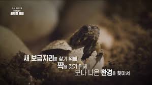 이미지가 없습니다.