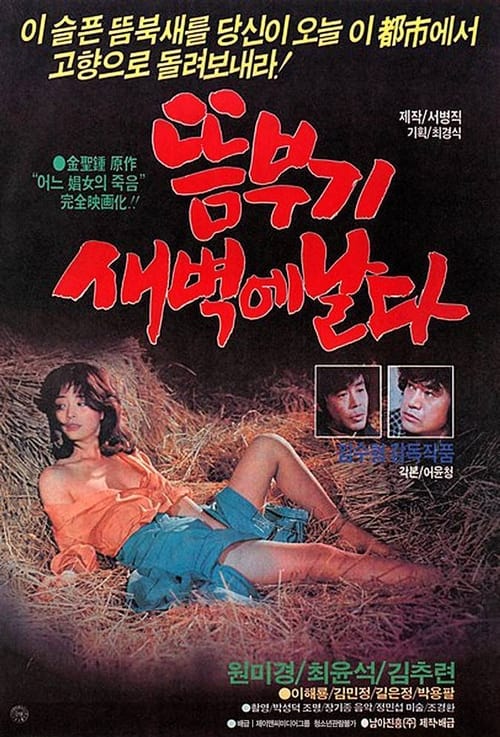 이미지가 없습니다.