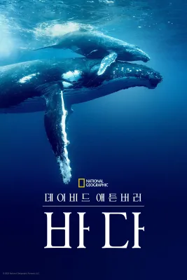 이미지가 없습니다.