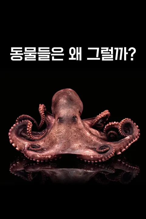 이미지가 없습니다.