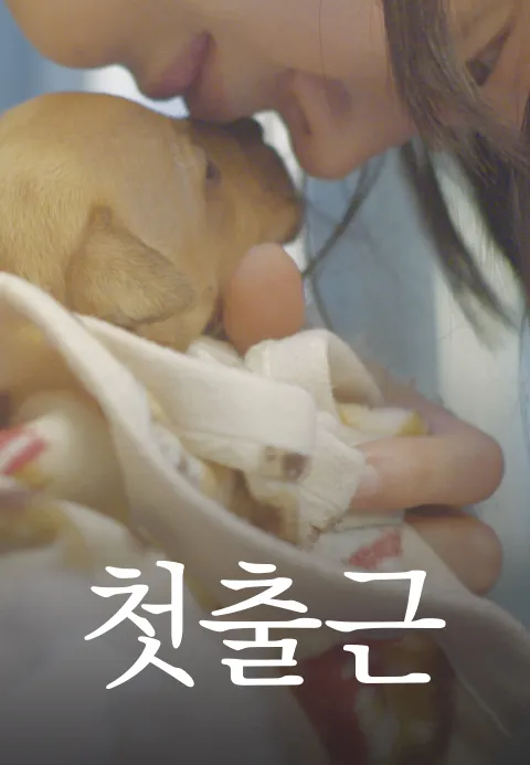 이미지가 없습니다.