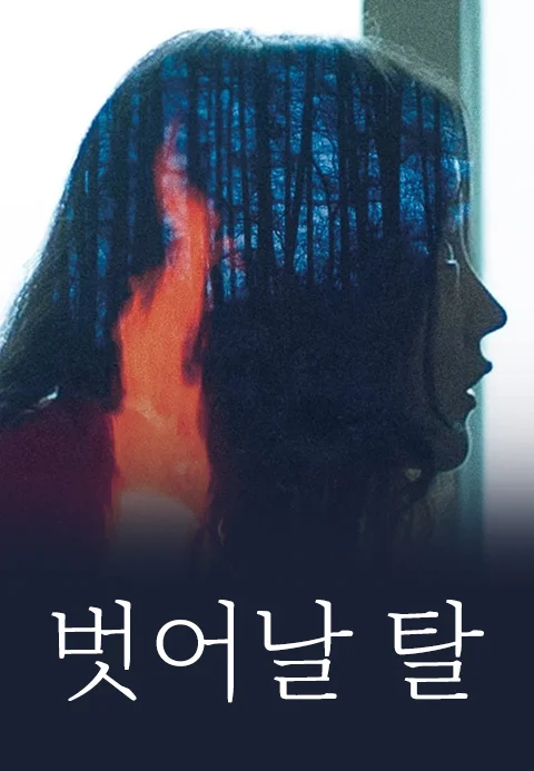 이미지가 없습니다.