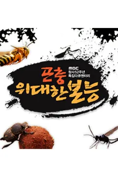 이미지가 없습니다.