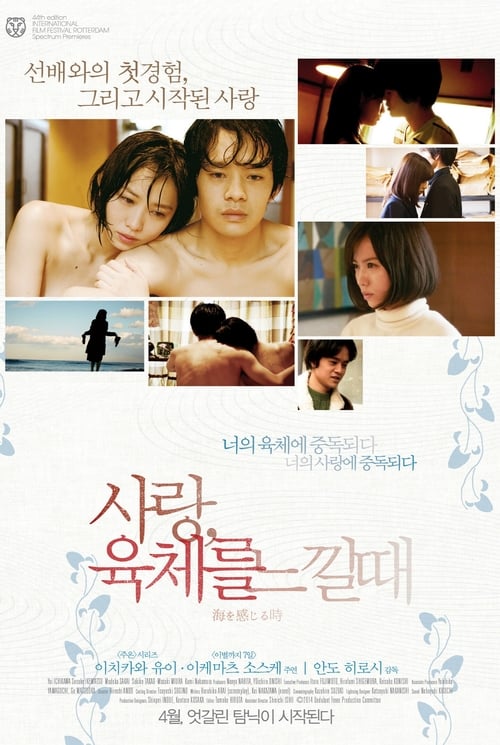 이미지가 없습니다.
